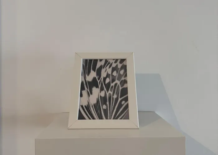 Caesar & - With 2 Bedroom Apartmán